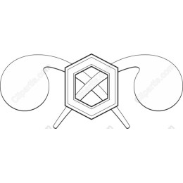 Elegant Shield