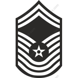 Military Insignia - Shield & Star