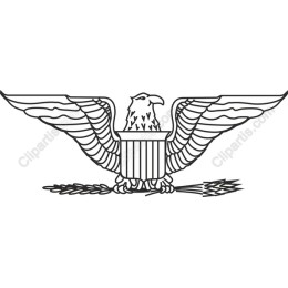 Majestic Eagle