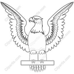 Majestic Eagle
