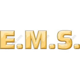 E.M.S. 3D Gold Text