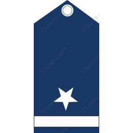Navy Blue Star Tag