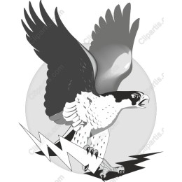 Majestic Eagle in Flight
