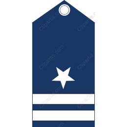 Navy Star Tag