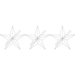 Elegant Star