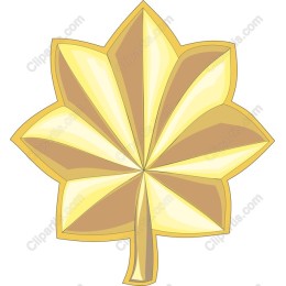 Golden Maple Leaf