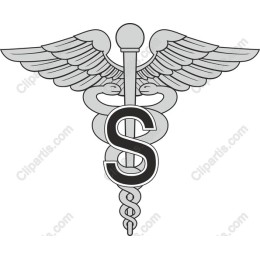 Premium Medical Emblem - Caduceus