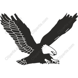 Majestic Eagle