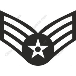 Military Insignia Emblem