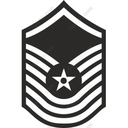 Military Badge