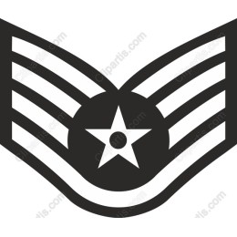 Stylized Military Emblem