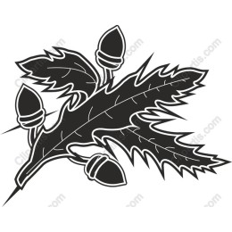 Black Oak Leaf