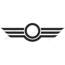 Wings Icon