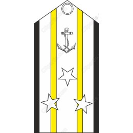Military Shoulder Insignia