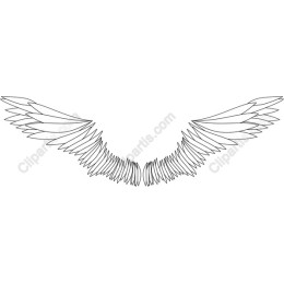Elegant Wings