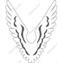 Elegant Angel Wings