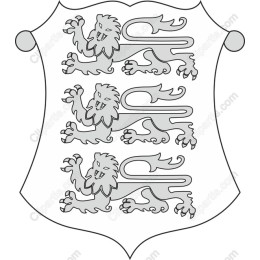 Elegant Heraldic Shield with Three Lions