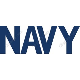 Navy Bold Typography