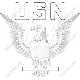 USN Eagle