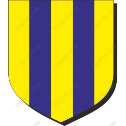Vibrant Vertical Striped Shield