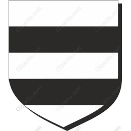 Stylish Black and White Shield