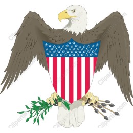 Bald Eagle Patriotic