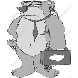 Disgruntled Bear