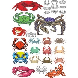 Crab Clipart Collection - Versatile