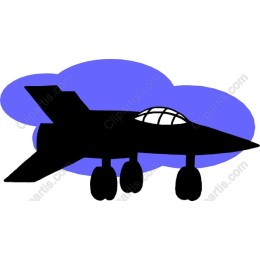 Sleek Fighter Jet