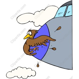 Whimsical Bird on Airplane Wing