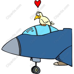 Whimsical Bird and Jet Love