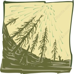 Rustic Tree Landscape