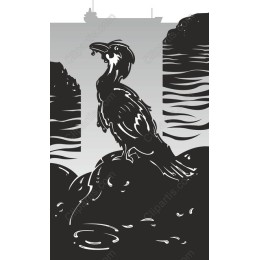 Coastal Bird