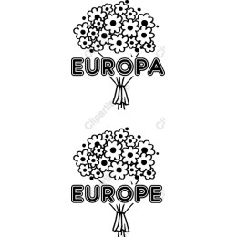 Charming Floral Bouquet - EUROPA & EUROPE