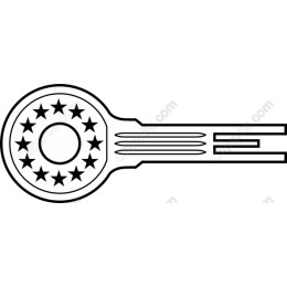 Star-Embellished Key