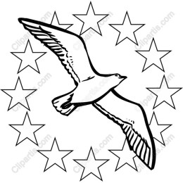 Soaring Bird with Stars