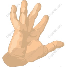 Human Hand