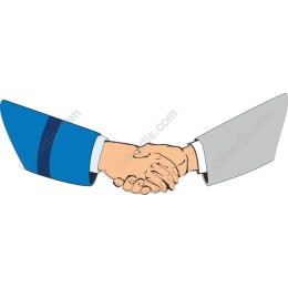 Professional Handshake