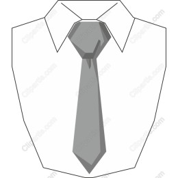 Professional Dress Shirt and Tie