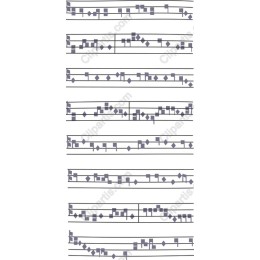 Musical Notation