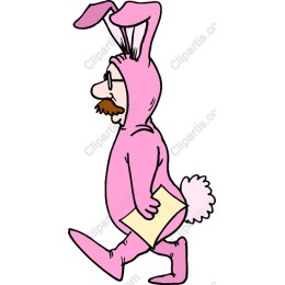 Pink Bunny Costume Character