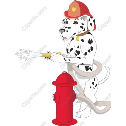 Dalmatian Firefighter