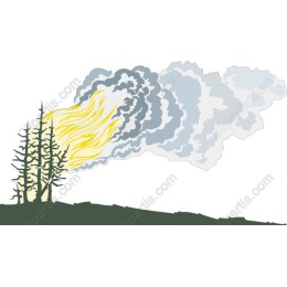 Dynamic Forest Fire