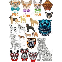 Charming Dog Bundle