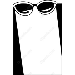 Chic Sunglasses