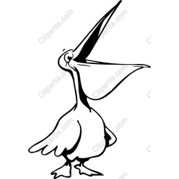 Charming Pelican