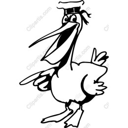 Whimsical Sailor Pelican