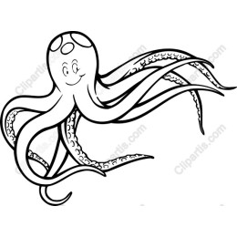 Playful Octopus