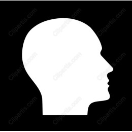 Minimalist Profile