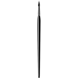Elegant Fountain Pen